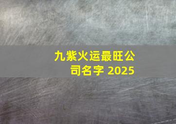 九紫火运最旺公司名字 2025